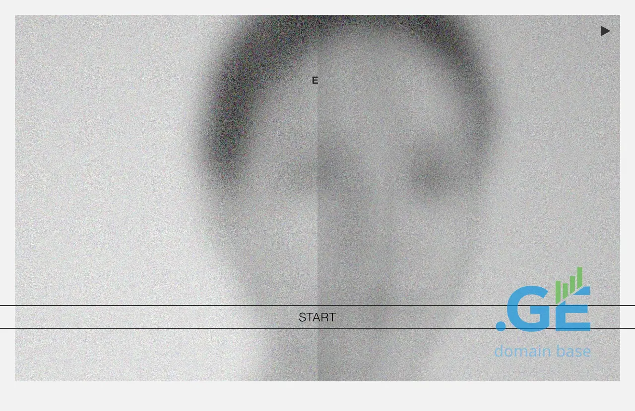 Screenshot of the site whileseekinghelp.ge