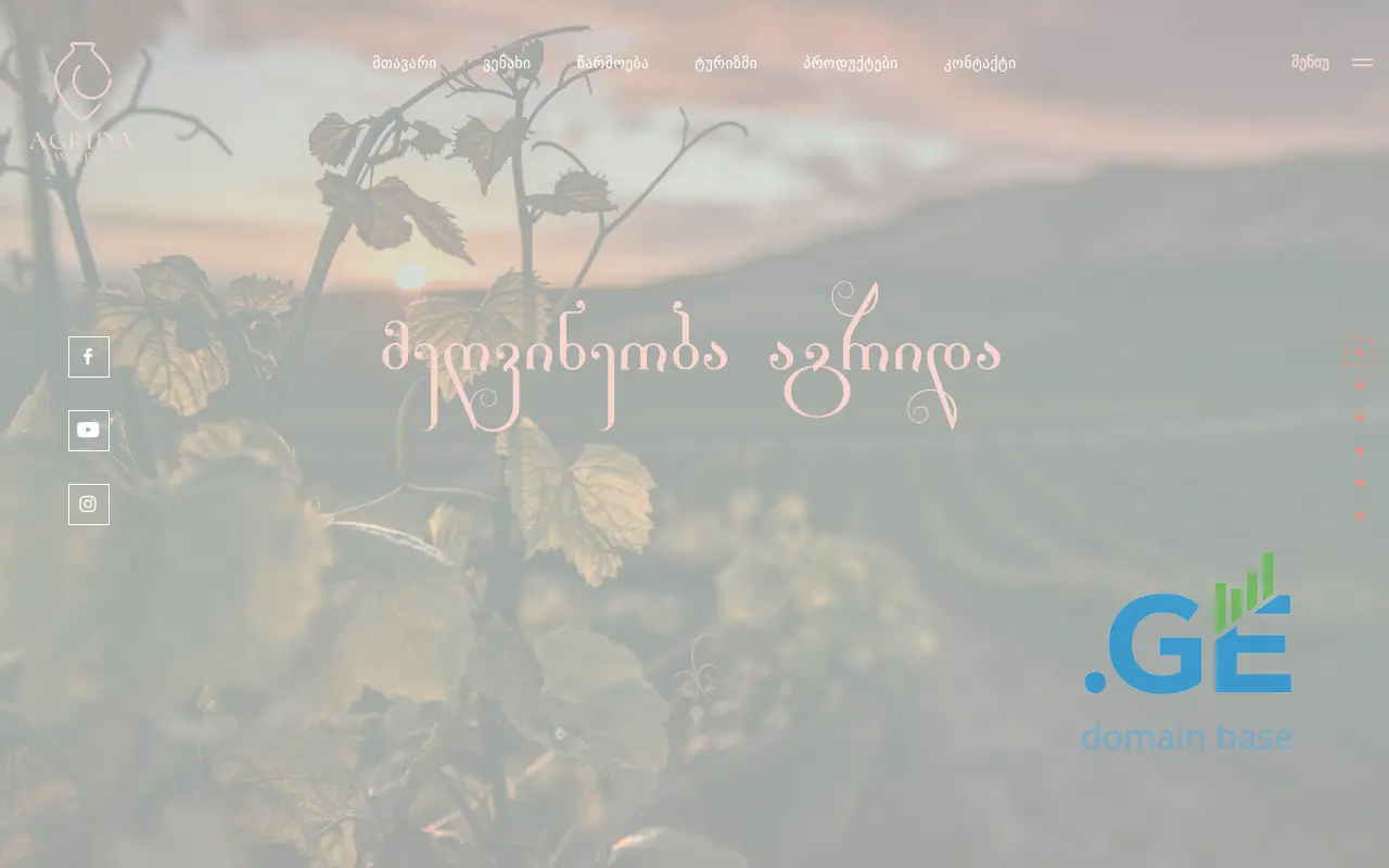 Screenshot of the site wineryagrida.ge