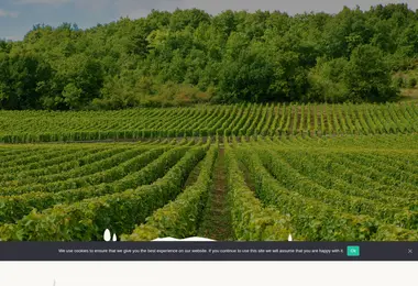Screenshot of winerygremi.ge