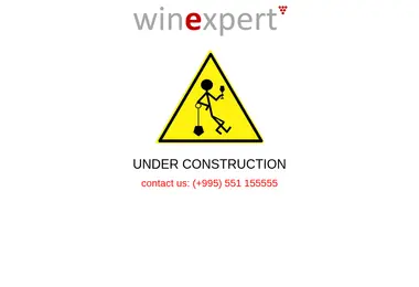 Screenshot of winexpert.ge