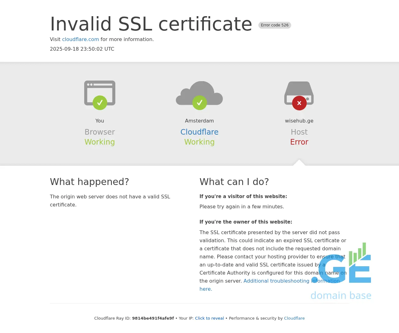 Screenshot of the site wisehub.ge