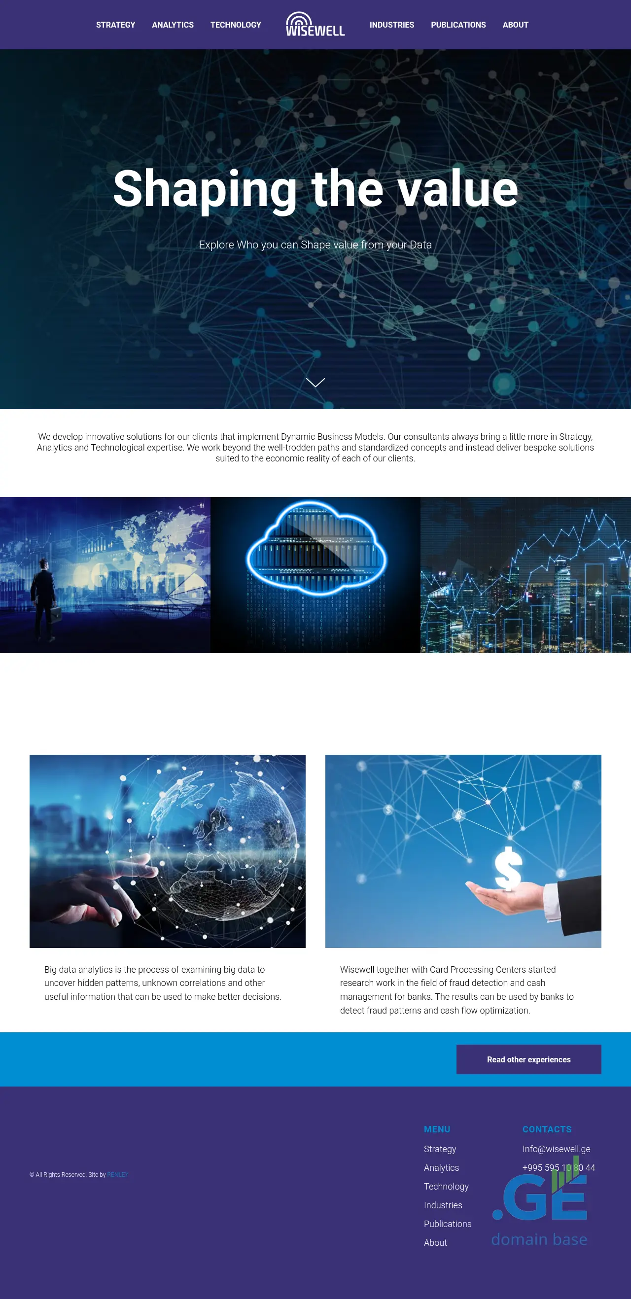 Screenshot of the site wisewell.ge