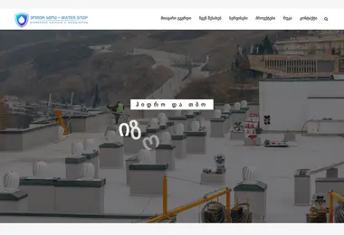 Screenshot of wsc.ge