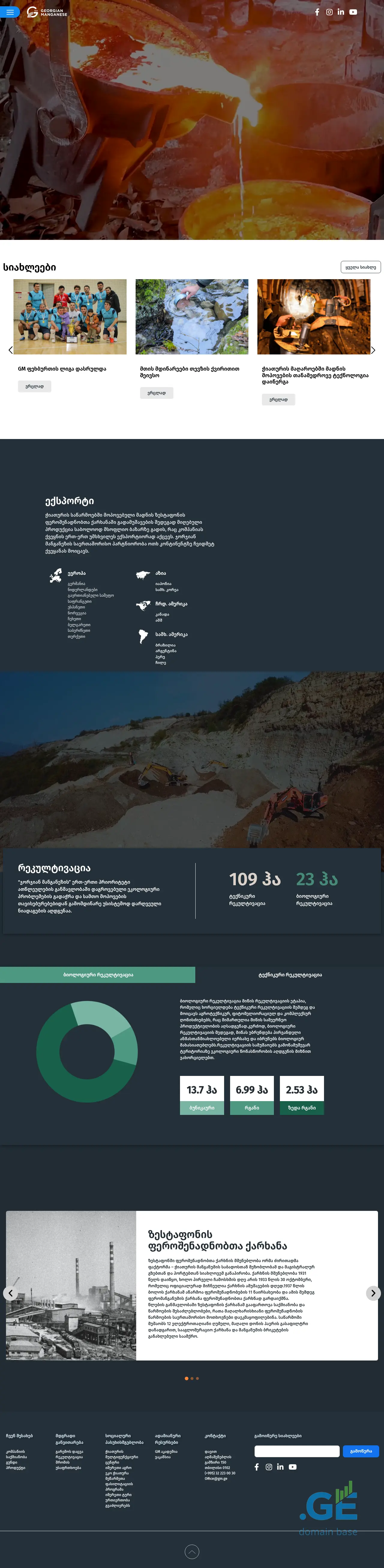 Screenshot of the site zfz.ge