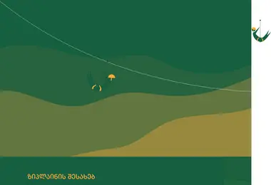 Screenshot of ziplinemakhuntseti.ge
