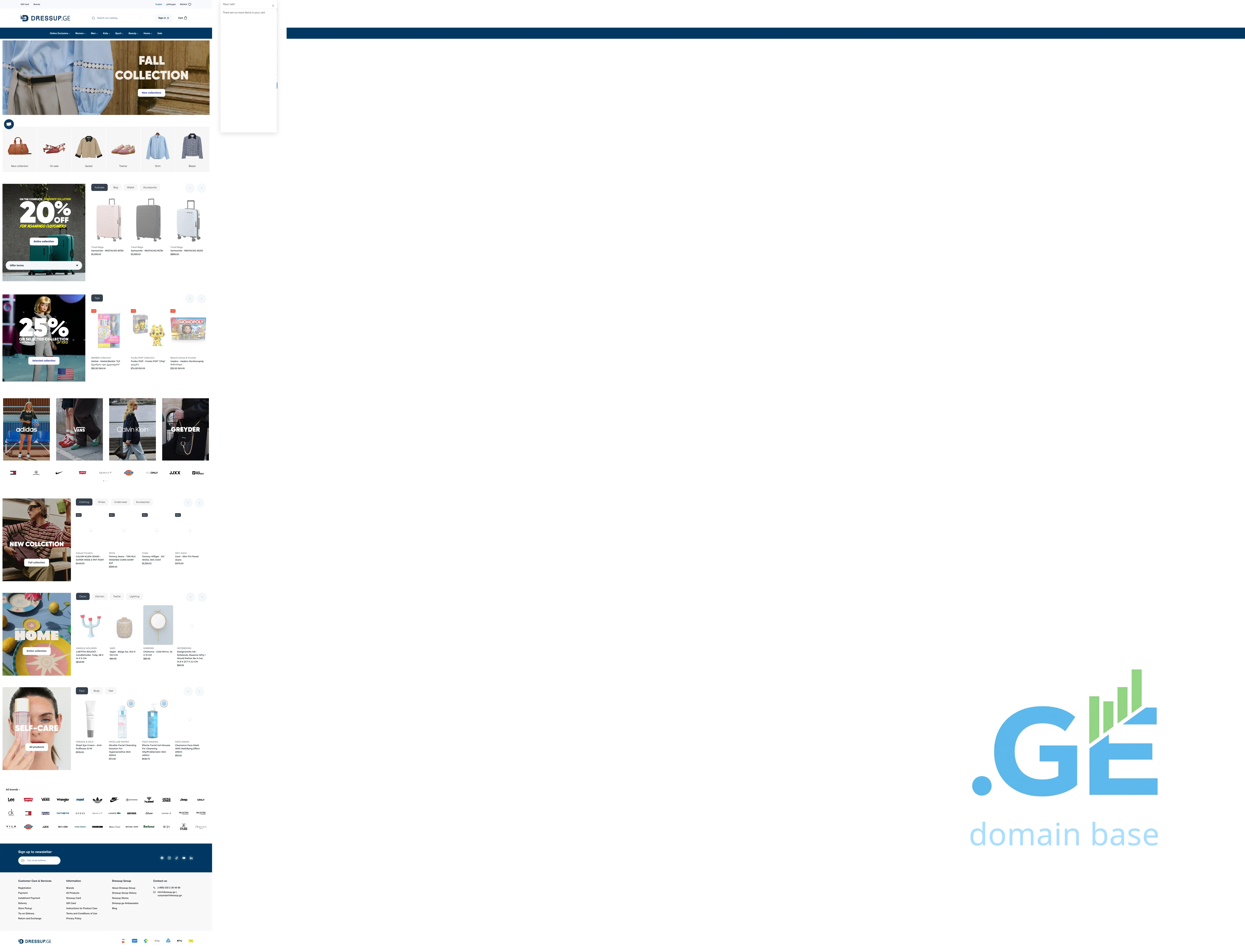 Screenshot of the site zippy.ge