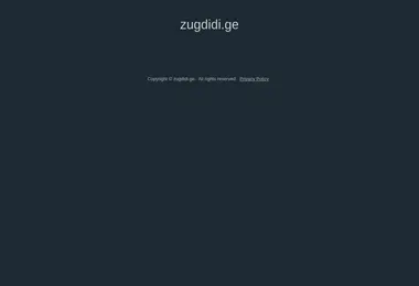 Screenshot of zugdidi.ge