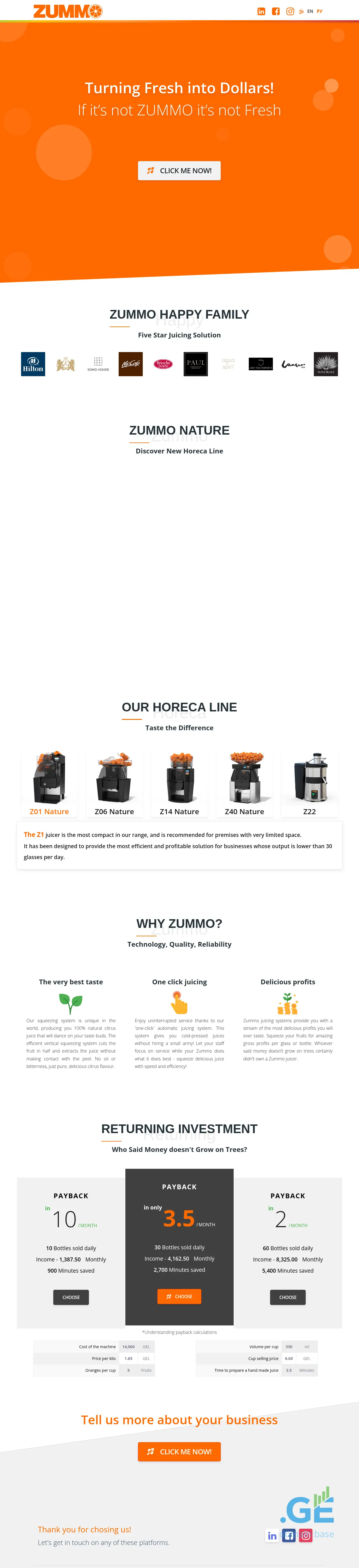 Screenshot of the site zummo.ge