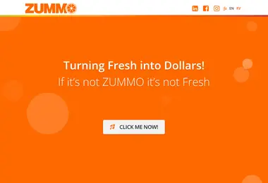Screenshot of zummo.ge