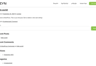 Screenshot of zyn.ge